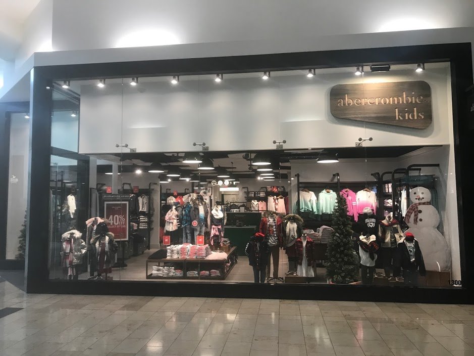 Glass storefront doors with slim profile